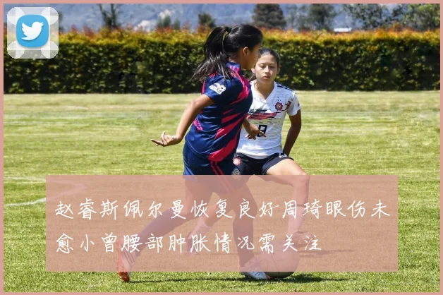 赵睿斯佩尔曼恢复良好周琦眼伤未愈小曾腰部肿胀情况需关注