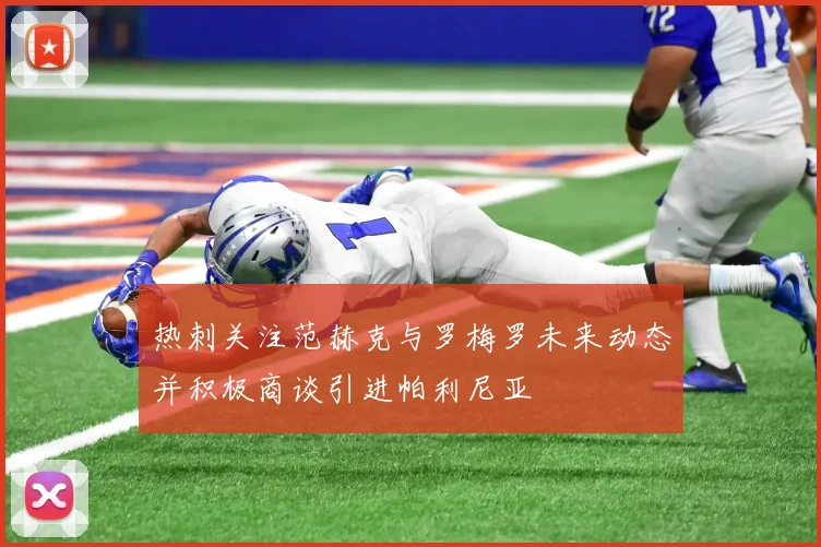 热刺关注范赫克与罗梅罗未来动态并积极商谈引进帕利尼亚